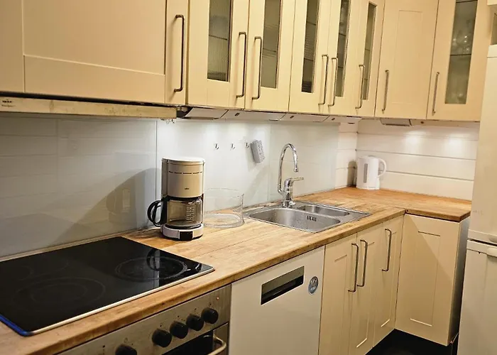 Private - 5 In A Luxury Style * Oslo